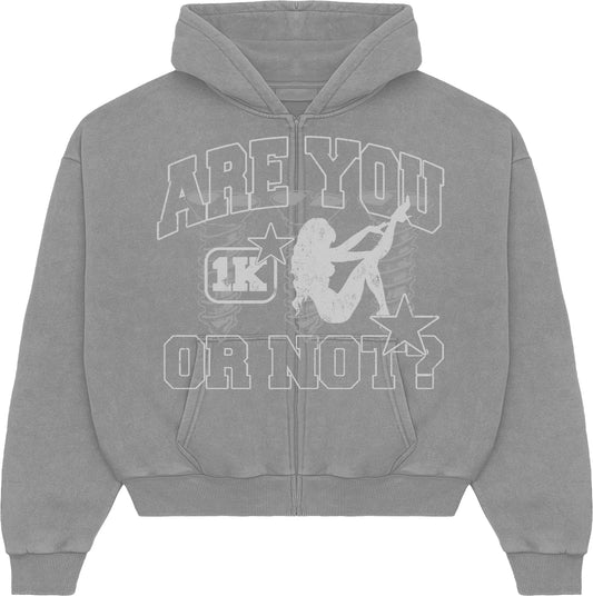 Players Club Hoodie [Grey]